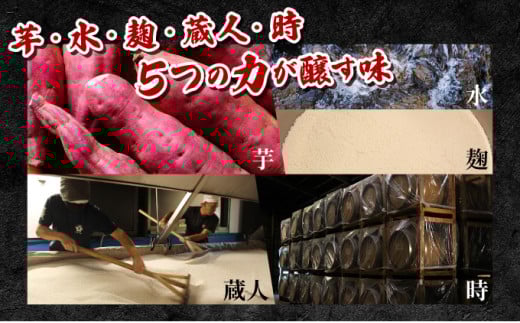 KU190《毎月数量限定》「白」と「赤」のひむか銘柄2種 5本セット ( 900ml×5本)