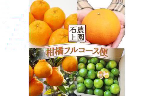 KU167 ＜先行予約＞【定期便・全4回】石上農園から自慢の柑橘フルコース便　【石上農園】