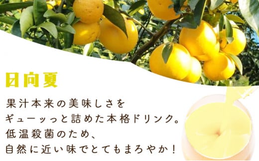 KU122 縺ゅオ繧後k譫懷ョ滓─シ√槭Φ繧エ繝シ繝サ譌・蜷大、上ラ繝ェ繝ウ繧ッシ呈悽繧サ繝繝(蜷720ml)縲仙ョョ蟠取棡豎√