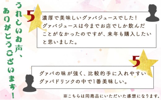 KU113 まるで果実を食べているような！グァバドリンク12本セット各720ml)【宮崎果汁】