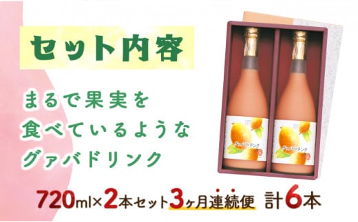 【定期便・全3回】まるで果実を食べているような！グァバドリンク２本セット(各720ml)×3回_K021-T007