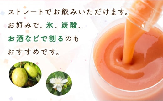 【定期便・全3回】まるで果実を食べているような！グァバドリンク２本セット(各720ml)×3回_K021-T007