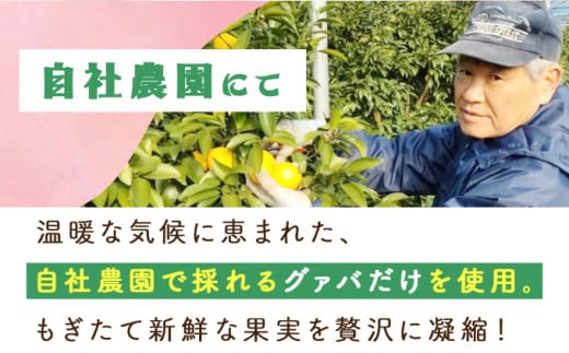 【定期便・全3回】まるで果実を食べているような！グァバドリンク２本セット(各720ml)×3回_K021-T007