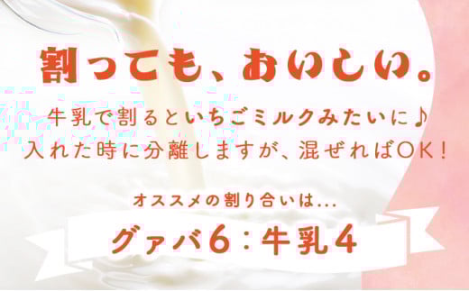 KU109 まるで果実を食べているような！ グァバドリンク２本セット (720ml×2本) 【宮崎果汁】
