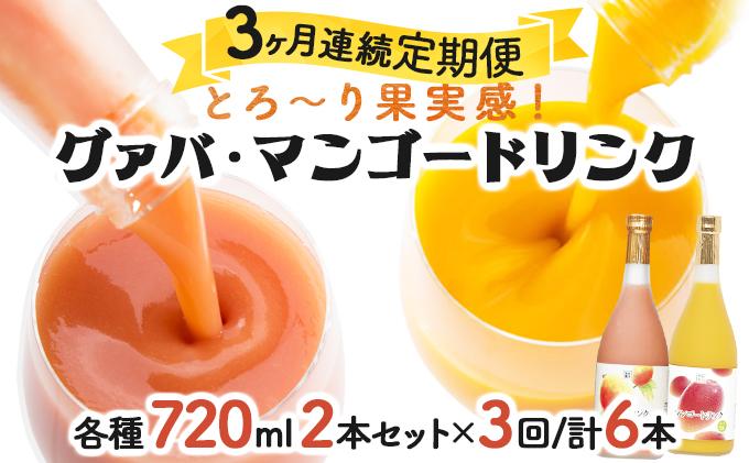 KU107 【定期便・全3回】とろーり果実感！グァバ・マンゴードリンク２本セット(各720ml×2本)×3回 【宮崎果汁】