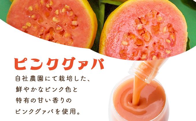 【全3回】とろーり果実感！グァバ・マンゴードリンク２本セット(各720ml×2本)×3回_K021-T006