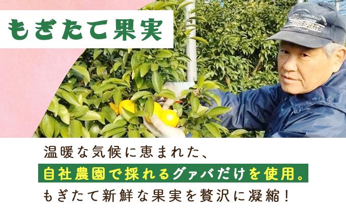 【全3回】とろーり果実感！グァバ・マンゴードリンク２本セット(各720ml×2本)×3回_K021-T006