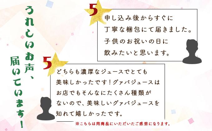 【全3回】とろーり果実感！グァバ・マンゴードリンク２本セット(各720ml×2本)×3回_K021-T006