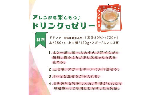 KU104 【定期便・全3回】驚きの果実感！グァバ・パッションフルーツドリンク２本セット(各720ml)×3回【宮崎果汁】