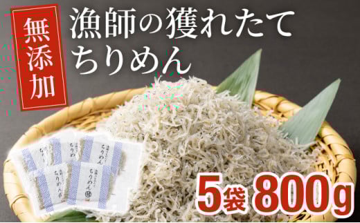 KU094 漁師の獲れたてちりめん 計800g(160g×5袋)鮮度と美味しさに自信！ 海の幸【株式会社猪塚水産】