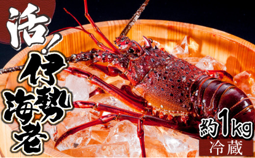 KU068  ＜数量限定＞宮崎県串間産伊勢エビ(計約1kg・2～4匹) 【合同会社Houryoumaru】