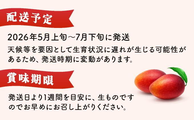 KU019 【令和8年発送分　先行予約！】＜数量限定＞ 串間産完熟マンゴー（2L×2玉）