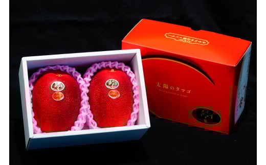 KU021 ＜先行予約・数量限定＞太陽のタマゴ・赤秀(1kg・2〜3玉) 【串間市大束農業協同組合】