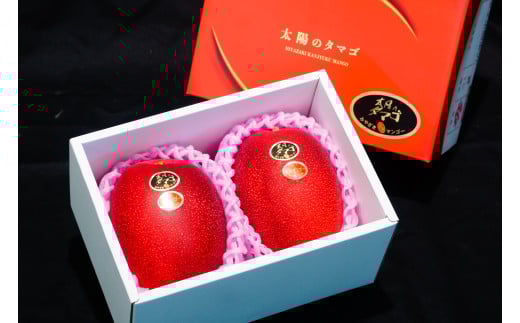 KU021 ＜先行予約・数量限定＞太陽のタマゴ・赤秀(1kg・2〜3玉) 【串間市大束農業協同組合】