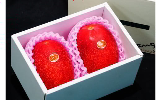 KU020 ＜先行予約・数量限定＞完熟マンゴー・赤秀(1kg・2〜3玉) 【串間市大束農業協同組合】