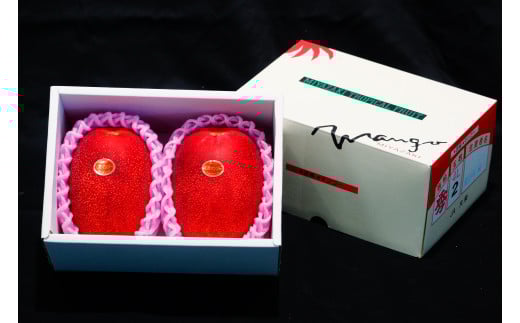 KU020 ＜先行予約・数量限定＞完熟マンゴー・赤秀(1kg・2〜3玉) 【串間市大束農業協同組合】