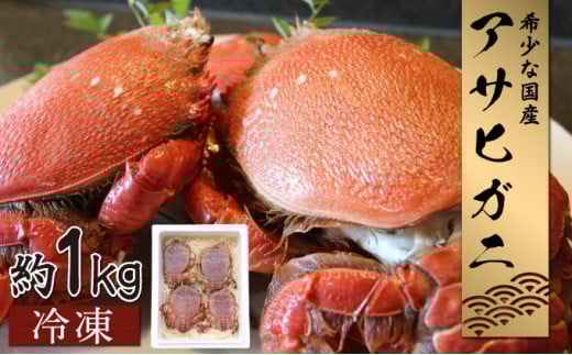 KU017 【数量・期間限定】宮崎県串間産アサヒガニ(計約1kg・4～6匹)【合同会社Houryoumaru】