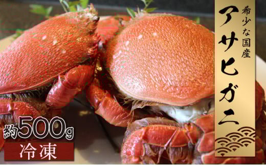 KU016 【数量・期間限定】宮崎県串間産アサヒガニ(計約500g・2～3匹)日本では大変希少な国産アサヒガニ ！【合同会社Houryoumaru】