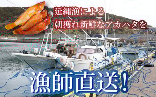 KU015 シ2026蟷エ7譛医h繧企谺。逋コ騾シ槫ョョ蟠守恁荳イ髢鍋肇繧「繧ォ繝上ち(險育エ2kg繝サ4縲8蛹ケ)蟒カ邵貍√↓繧医k譛昴←繧碁ォ倡エ夐ュ壹r貍∝クォ逶エ騾シ√仙粋蜷御シ夂、セHouryoumaru縲