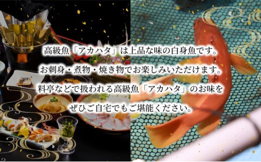 KU015 シ2026蟷エ7譛医h繧企谺。逋コ騾シ槫ョョ蟠守恁荳イ髢鍋肇繧「繧ォ繝上ち(險育エ2kg繝サ4縲8蛹ケ)蟒カ邵貍√↓繧医k譛昴←繧碁ォ倡エ夐ュ壹r貍∝クォ逶エ騾シ√仙粋蜷御シ夂、セHouryoumaru縲