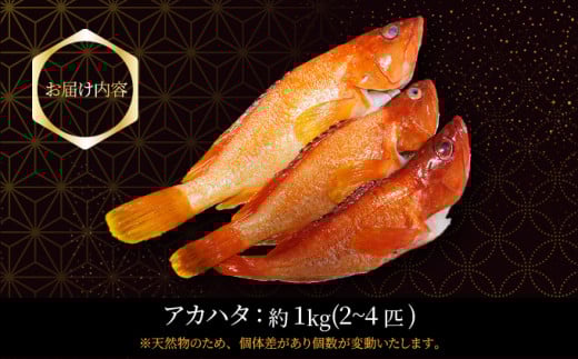 KU014 ïŒ2026幎7æããé æ¬¡çºéïŒå®®åŽçäž²éç£ã¢ã«ãã¿(èšçŽ1kgã»2ã4å¹)å»¶çžæŒã«ããæã©ãé«çŽéãæŒåž«çŽéïŒãååäŒç€ŸHouryoumaruã