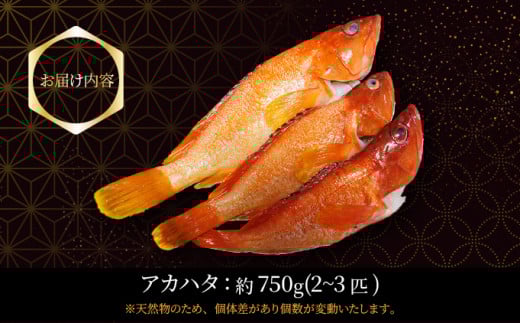 KU013 ïŒ2026幎7æããé æ¬¡çºéïŒå®®åŽçäž²éç£ã¢ã«ãã¿(èšçŽ750gã»2ã3å¹)å»¶çžæŒã«ããæã©ãé«çŽéãæŒåž«çŽéïŒãååäŒç€ŸHouryoumaruã