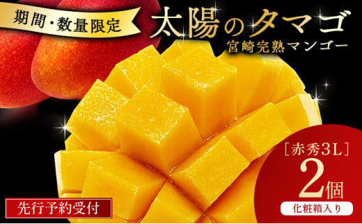 宮崎県串間市産 完熟マンゴー 太陽のタマゴ(3L×2個) 果物 フルーツ デザート スイーツ マンゴー 太陽のたまご ギフト 贈り物 贈答 プレゼント おすすめ 特産品 お取り寄せ 化粧箱入り 串間市_K008-027