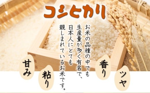 H-CD1  ＜令和7年産米＞宮崎県串間市産！超早場米「コシヒカリ」(5kg×1袋)【江藤商店】