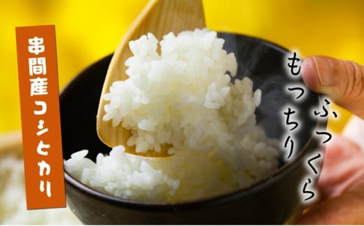 H-CD1  ＜令和7年産米＞宮崎県串間市産！超早場米「コシヒカリ」(5kg×1袋)【江藤商店】