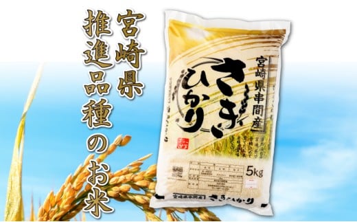 T-B2 ＜令和7年産＞宮崎県串間市産  超早場米「さきひかり」5kg(5kg×1袋)【松田農産】