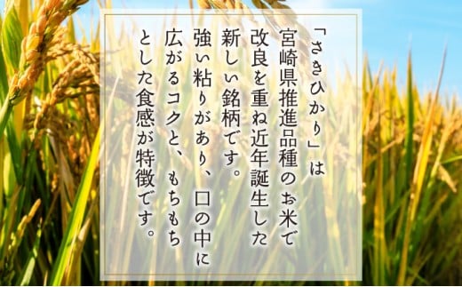 T-B2 ＜令和7年産＞宮崎県串間市産  超早場米「さきひかり」5kg(5kg×1袋)【松田農産】