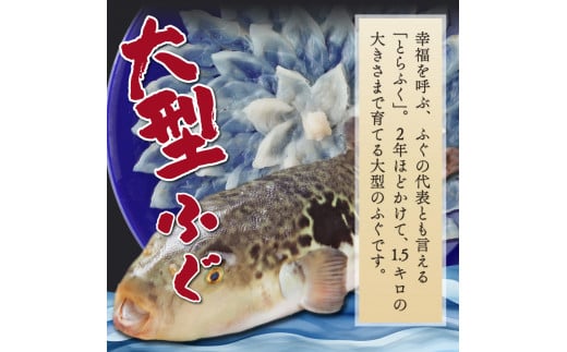 AB-EF1 ＜毎月数量限定＞年末年始や宴会に！とらふく刺身・ちり鍋セット(4人前) 国産最高級とらふく料理をご自宅で【大田商店】