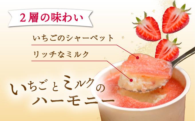 AQ-A3 串間市産イチゴ使用！いちごアイス詰合せ(9個)【たまたまクラブ】【AQ-A3】