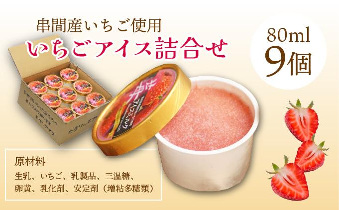AQ-A3 串間市産イチゴ使用！いちごアイス詰合せ(9個)【たまたまクラブ】【AQ-A3】