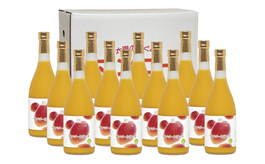 G-K2 【定期便・全4回】驚きの果実感！マンゴードリンクセット(720ml×12本)×4回【宮崎果汁】