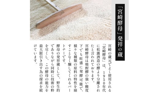 X-B1 熟成酒ならではの奥深くまろやかな味わい！芋・麦熟成酒一升瓶2本セット(各1800ml・心水、松露黒麦長期熟成)【松露酒造】