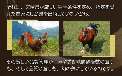 U-A2 ïŒèªå®èŸ²å®¶çŽéïŒã®ã³ã®ã³ãšè²ãŠãã¿ãããå°é é¶ã®çç«çŒã(èš500gã»100gÃ5P)ãé
ã®ã€ãŸã¿ããµã©ããš çŒé
ã«åããæš©ä»£ãã¡ãŒã ã