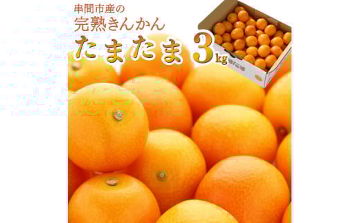 AA-C1 串間市産の完熟きんかん「たまたま」(2L・計3kg)【串間市大束農業協同組合】