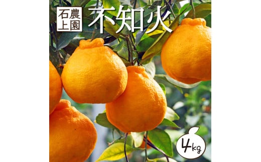 AF-A3 【訳あり】 串間市都井「石上農園」の蔵出し不知火4kg(12～15玉)【石上農園】