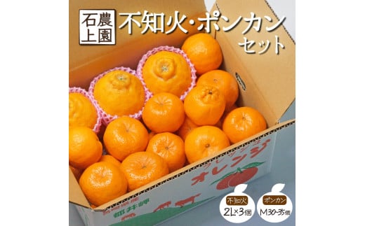 AF-A2 【先行予約】串間市都井「石上農園」の不知火・ポンカンセット（不知火2Lサイズ・3個、ポンカンMサイズ・30玉～35玉）【石上農園】