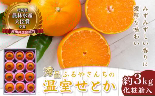 AD-AB2 ≪期間限定・先行予約≫ 数量限定！農林水産大臣賞受賞農園！ふるやさんちの温室せとか＜秀品＞（約3kg・7～12玉入）化粧箱入【ふるやさんちのみかん園】