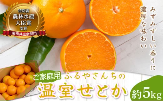 AD-AB1 ≪期間限定・先行予約≫ 数量限定！訳あり 農林水産大臣賞受賞農園！ふるやさんちの温室せとか（約5kg・20～24玉※サイズ混合）【ふるやさんちのみかん園】