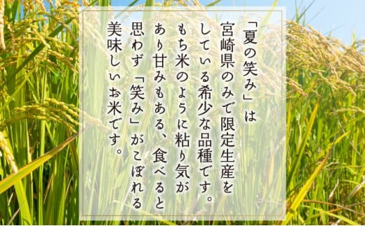 T-B1 ＜令和7年産＞宮崎県串間市産  超早場米「夏の笑み」5kg(5kg×1袋)【松田農産】