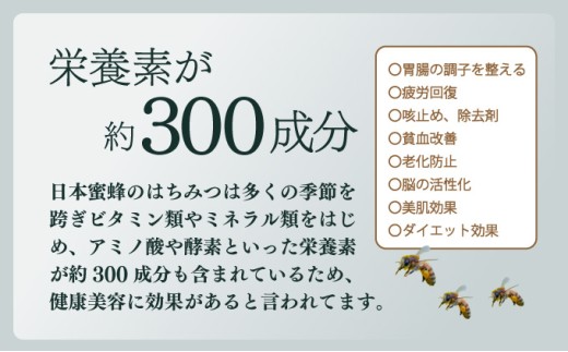 P-D1 サポートも致します「日本蜜蜂養蜂スターターキット」【Qcompany】