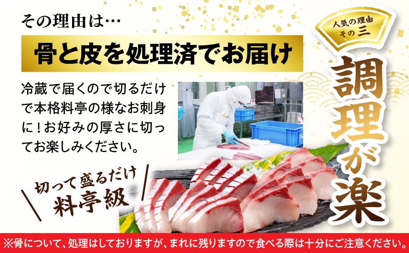＜2026年9月発送分＞活じめ！黒瀬ぶりの生鮮ブリロイン2節～3節（400g前後） 刺身 海鮮 海産物 魚 水産物 海鮮丼 ぶりしゃぶ 生食 冷蔵 しゃぶしゃぶ 国産 ブリ 贈答用 おすそ分け お刺身 食品 お歳暮 ぶり大根 鮮魚 人気 おすすめ_K001-008-2609