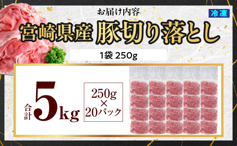 《2026年10月発送》豚肉切り落とし 250g×20パック 合計5kg_K033-030-10
