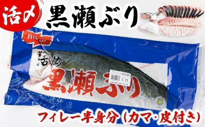 高評価！活じめ！黒瀬ぶりの生鮮ブリフィレー 1.5kg前後 (2026年6月発送)_K001-004-2606