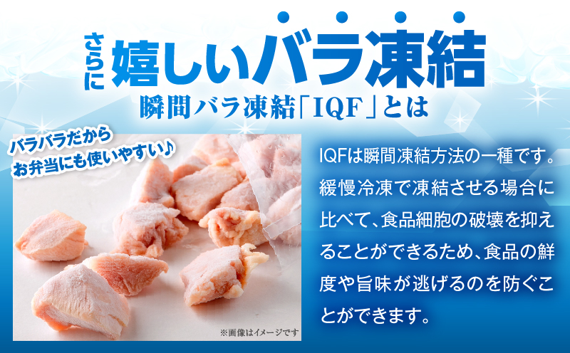ïŒ2026幎10æçºéïŒå°åãïŒãã©ãã©ïŒå®®åŽçç£é¶ããã«ããåèš1.5kg è ãè é¶è é¶ ãã㯠粟è é¶ã¢ã¢ ããè å°åã é³¥è å®®åŽçç£ äººæ° èŽãç© ãããåã å®®åŽç äž²éåž _K043-006-10