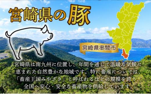 《2026年6月発送》豚肉切り落とし 250g×12パック 合計3kg_K033-024-2606