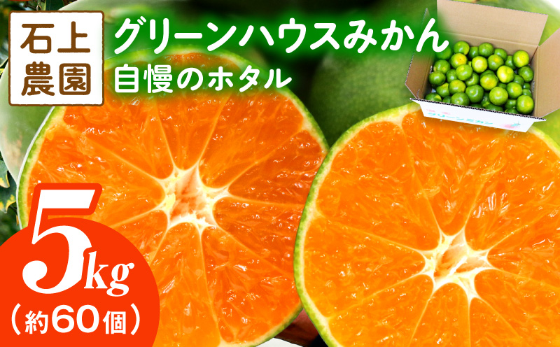 石上農園自慢のホタル（グリーンハウスミカン）5kg 果物 フルーツ デザート スイーツ みかん おすそ分け プレゼント 贈り物 贈答 ギフト お取り寄せ 特産品 おすすめ_K011-003